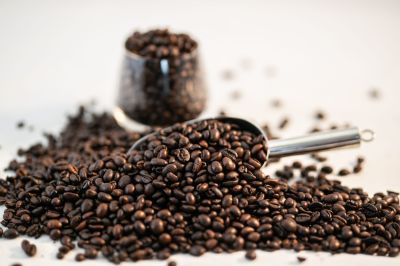 Robusta S18 ( Rang Bơ )