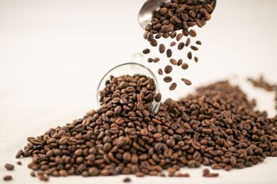 Robusta S14